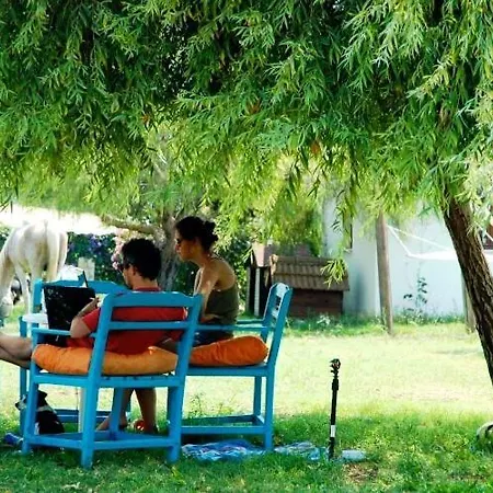 Adrenalin Village Πανσιόν Φετιγιέ